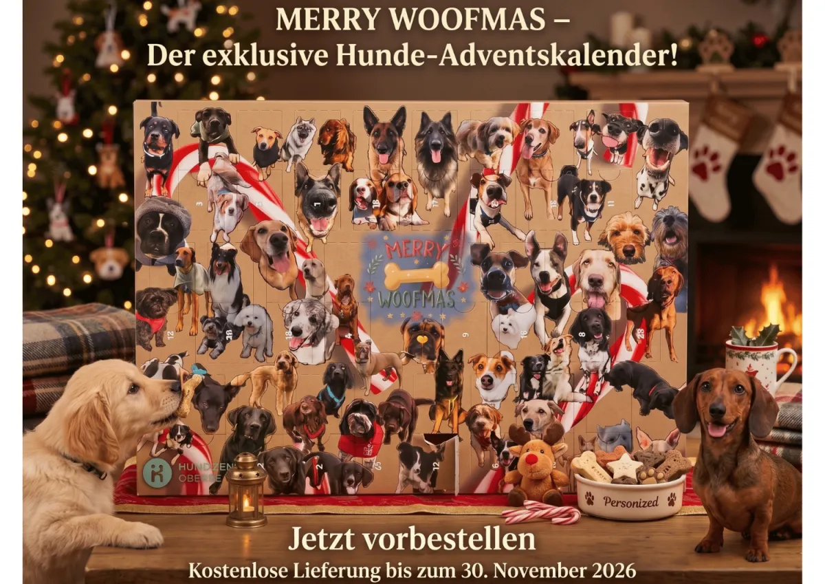 HZO Advent Calendar 2026