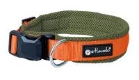 Hundehalsband Magnetech L Olive-Orange – Petlando