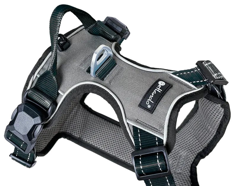 Hundegeschirr Magnetech L, Anthrazit–Schwarz – Petlando