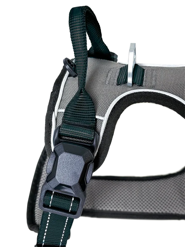 Hundegeschirr Magnetech M, Anthrazit–Schwarz – Petlando