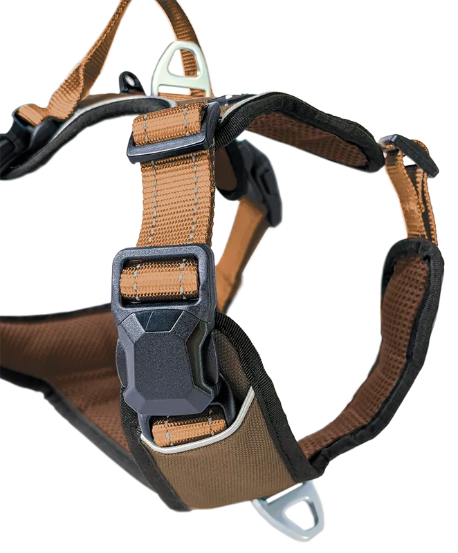 Hundegeschirr Magnetech L, Mokka–Cognac – Petlando