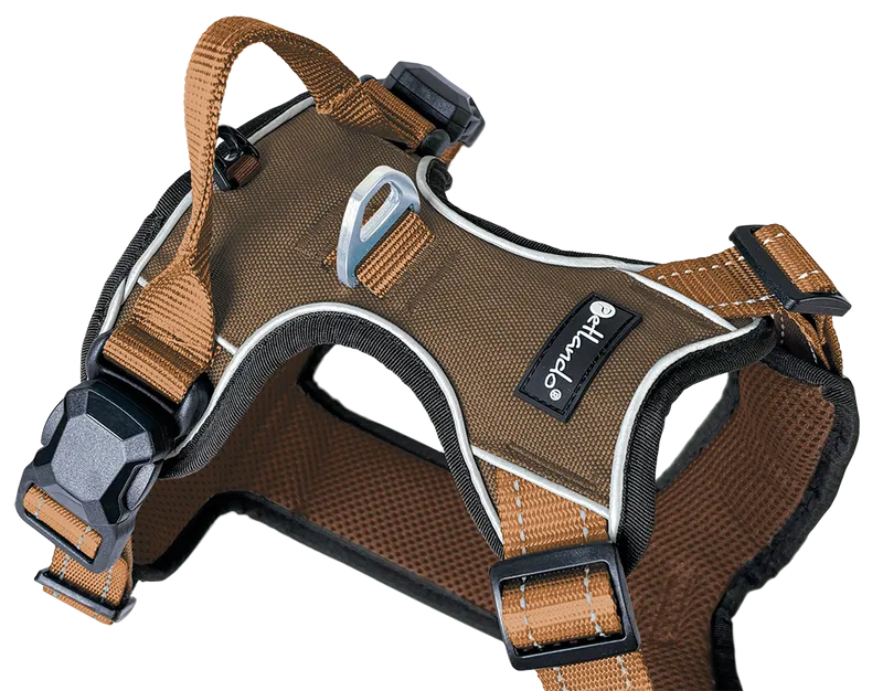 Hundegeschirr Magnetech M, Mokka–Cognac – Petlando