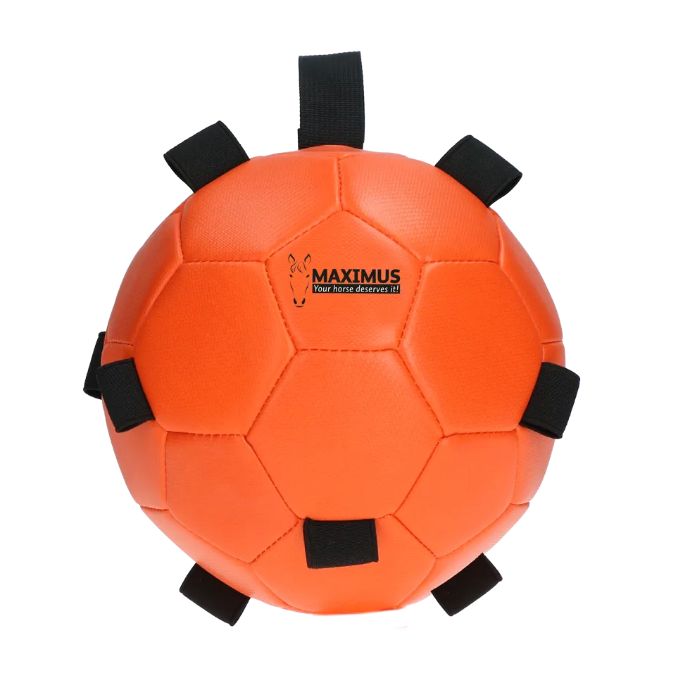 Excellent Horse Fun Play Ball Orange