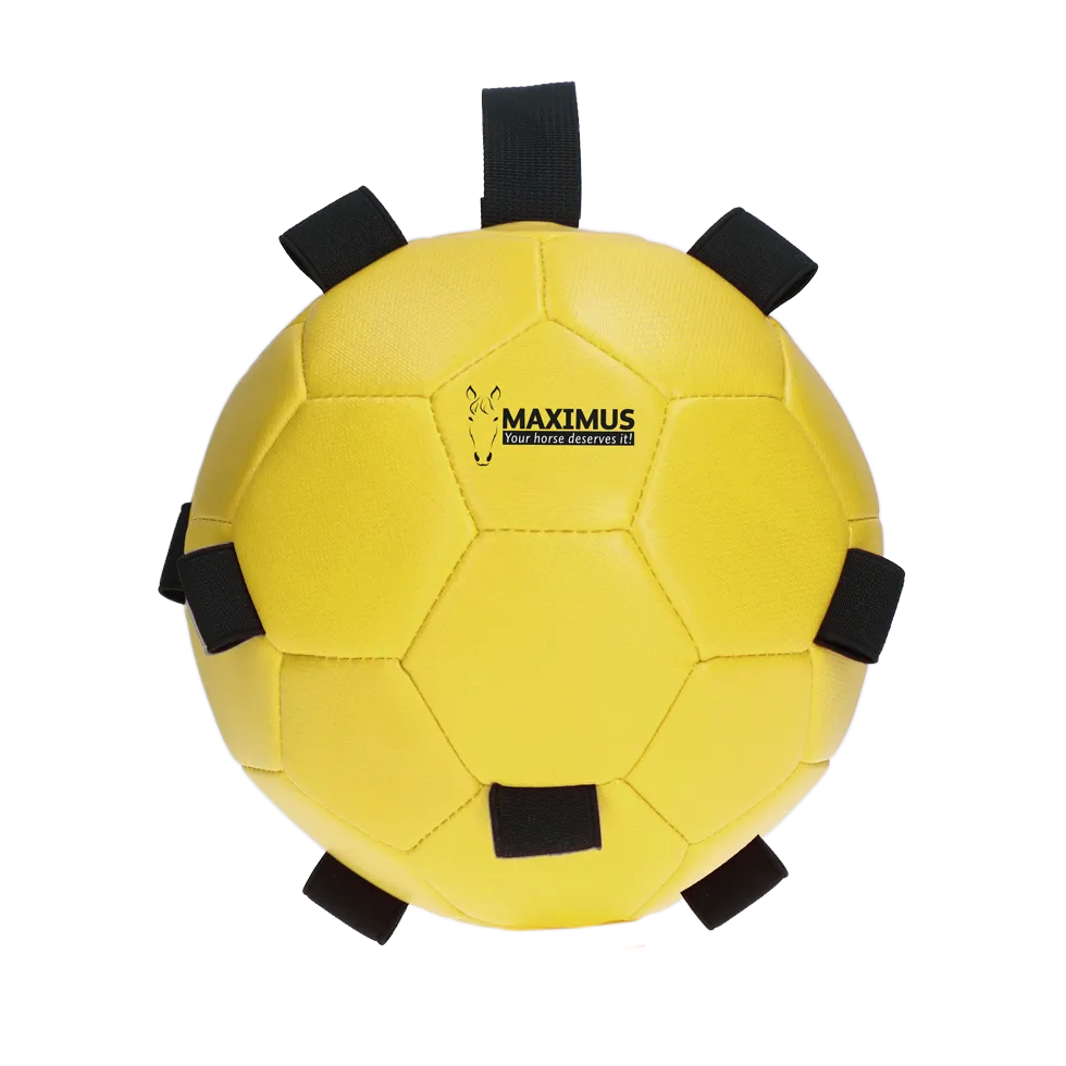 Excellent Horse Fun Play Ball Gelb