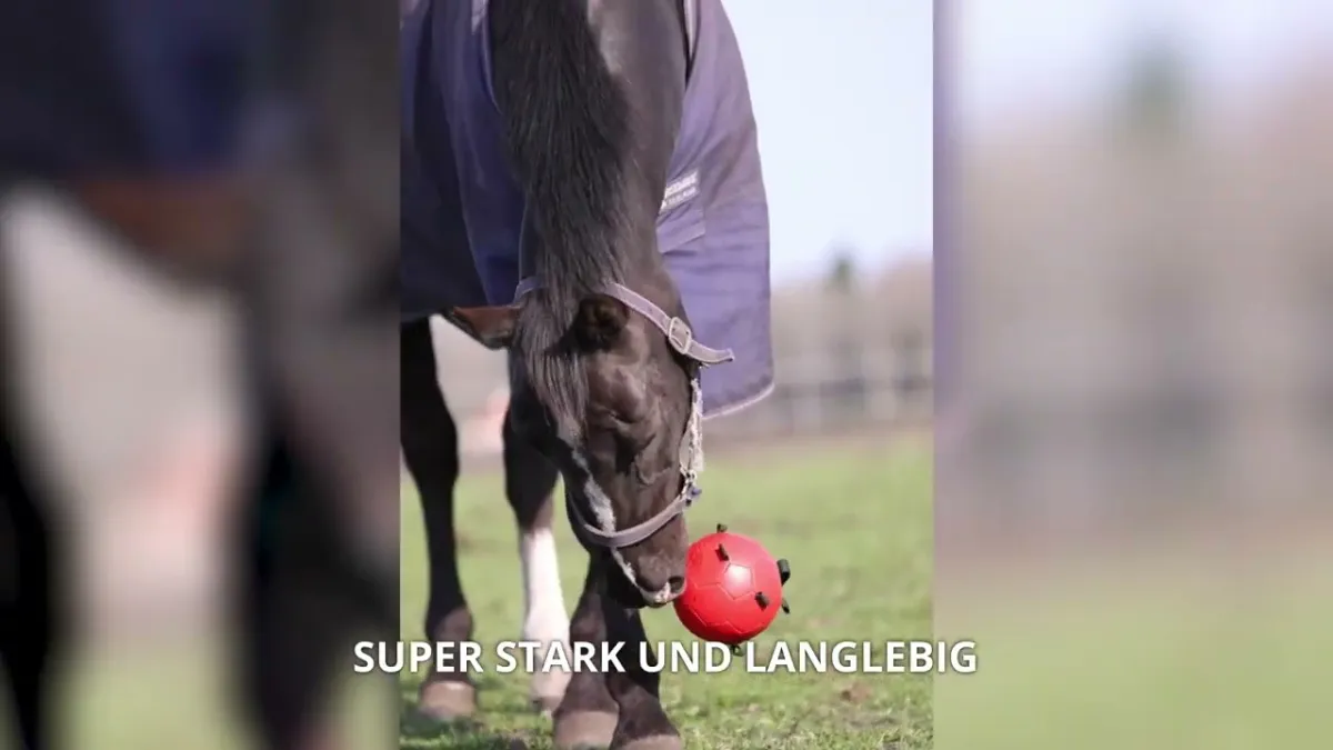 Excellent Horse Fun Play Ball Gelb