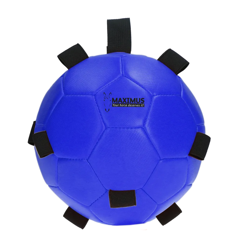 Excellent Horse Fun Play Ball Blau