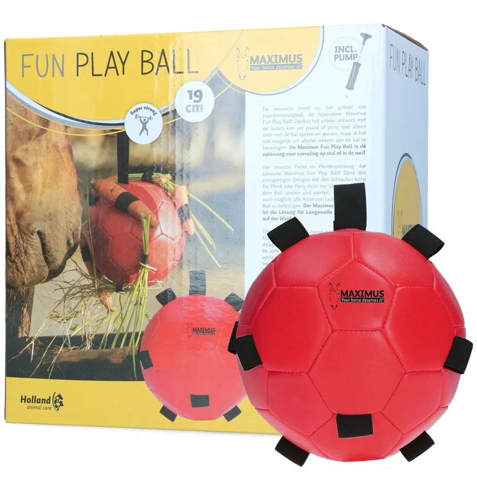 Excellent Horse Fun Play Ball Rot