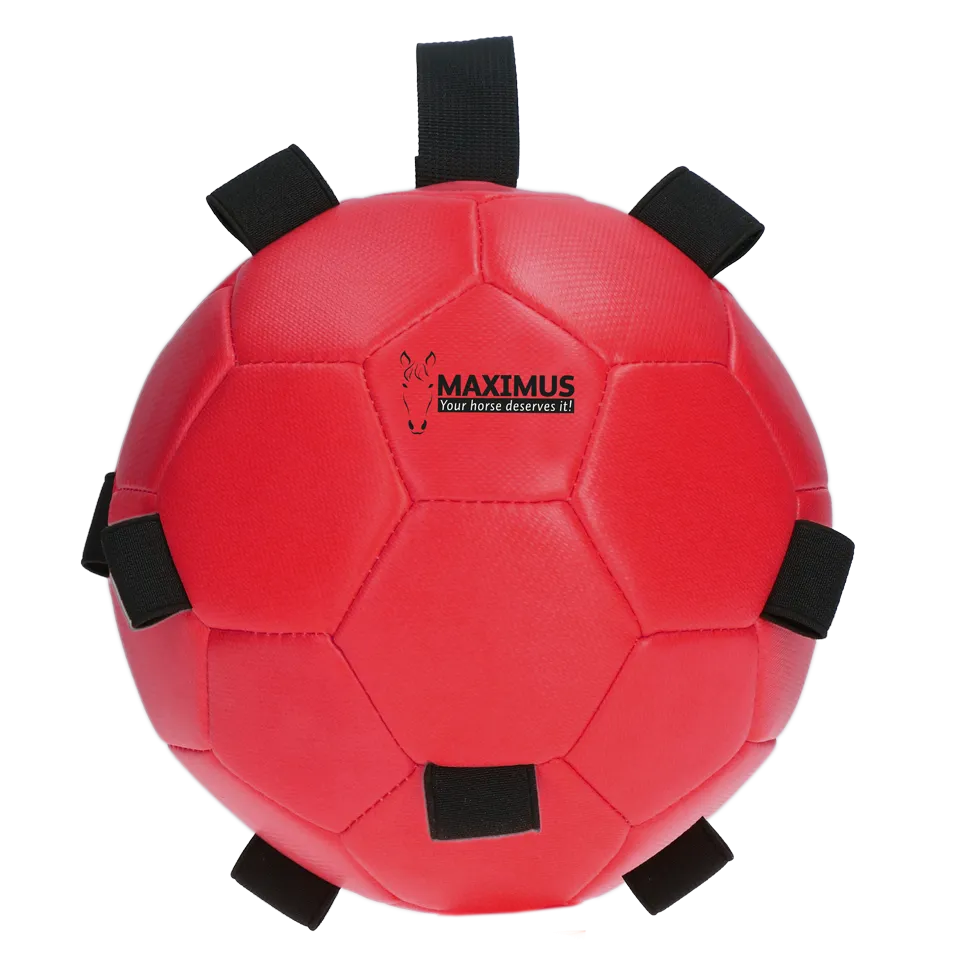 Excellent Horse Fun Play Ball Rot