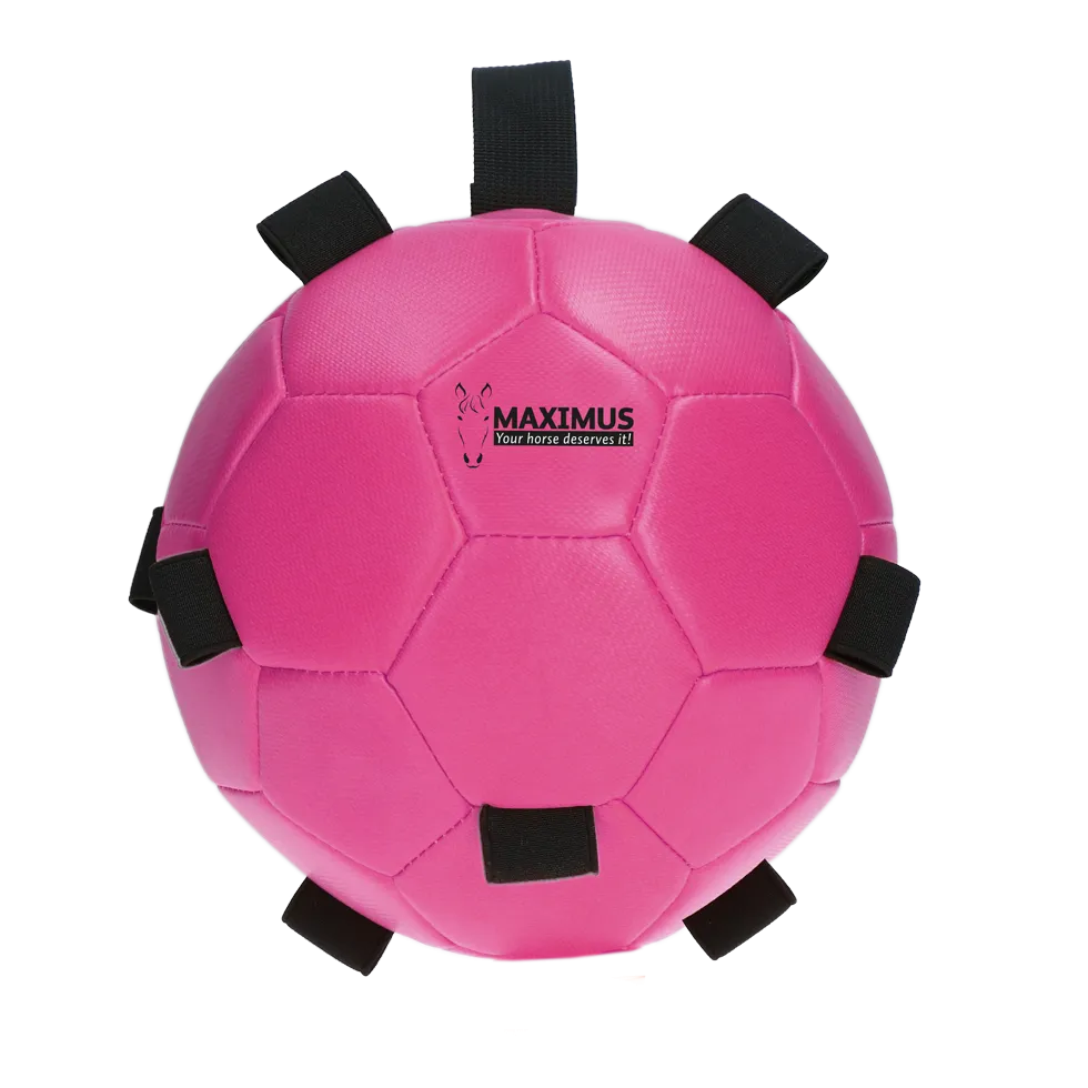 Excellent Horse Fun Play Ball Rosa