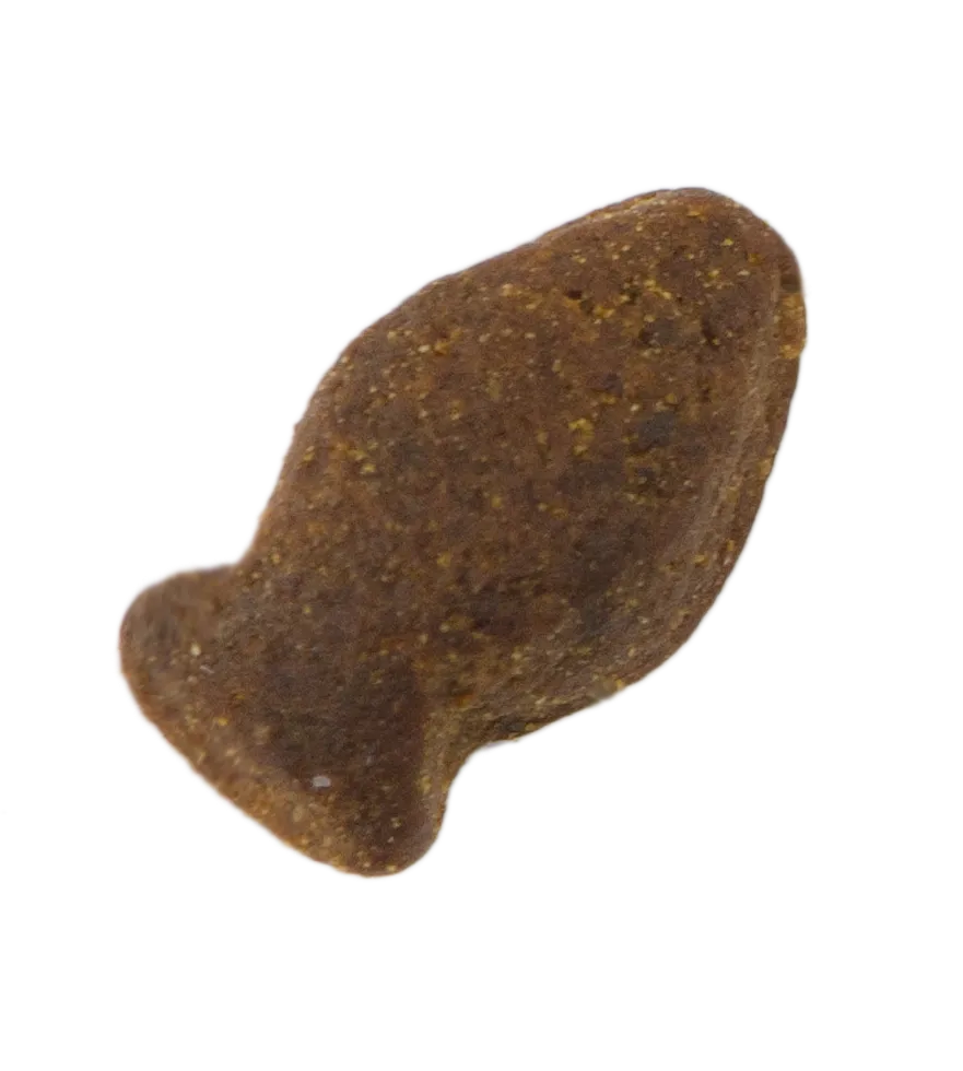 Excellent Pets Fish Treat 600 g