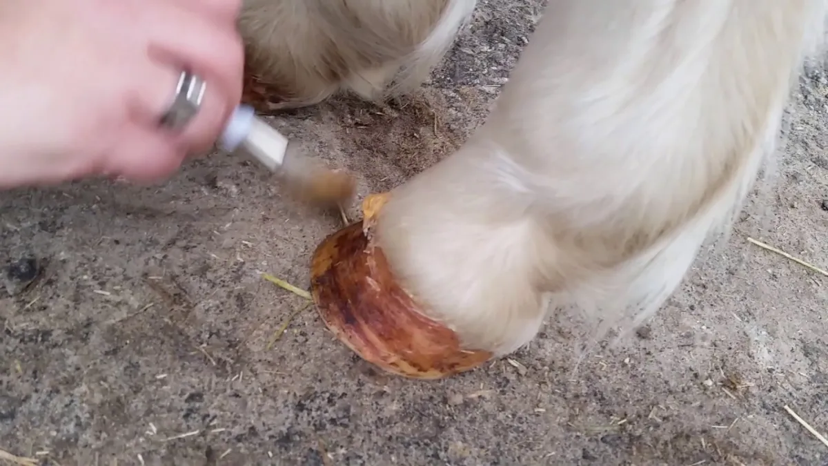 Excellent Horse Hoof Oil Gel 400 g
