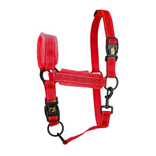 Excellent Superior Halfter Rot M