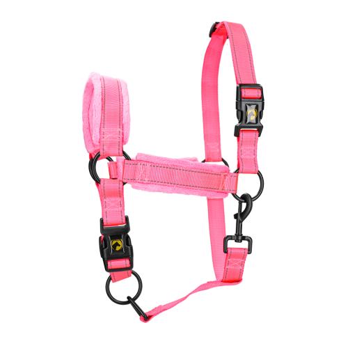 Excellent Superior Halfter Rosa XS