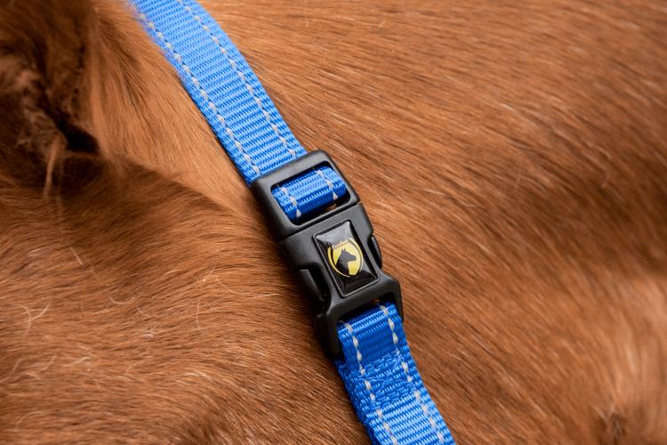 Excellent Superior Halfter Blau XS