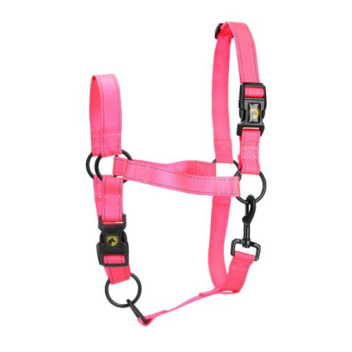 Excellent Premium Halfter Rosa XL