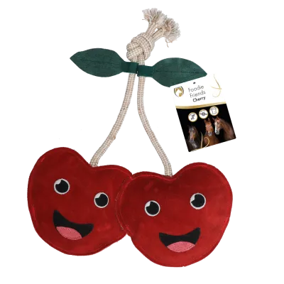 Excellent Horse Foodie Friends Cherry