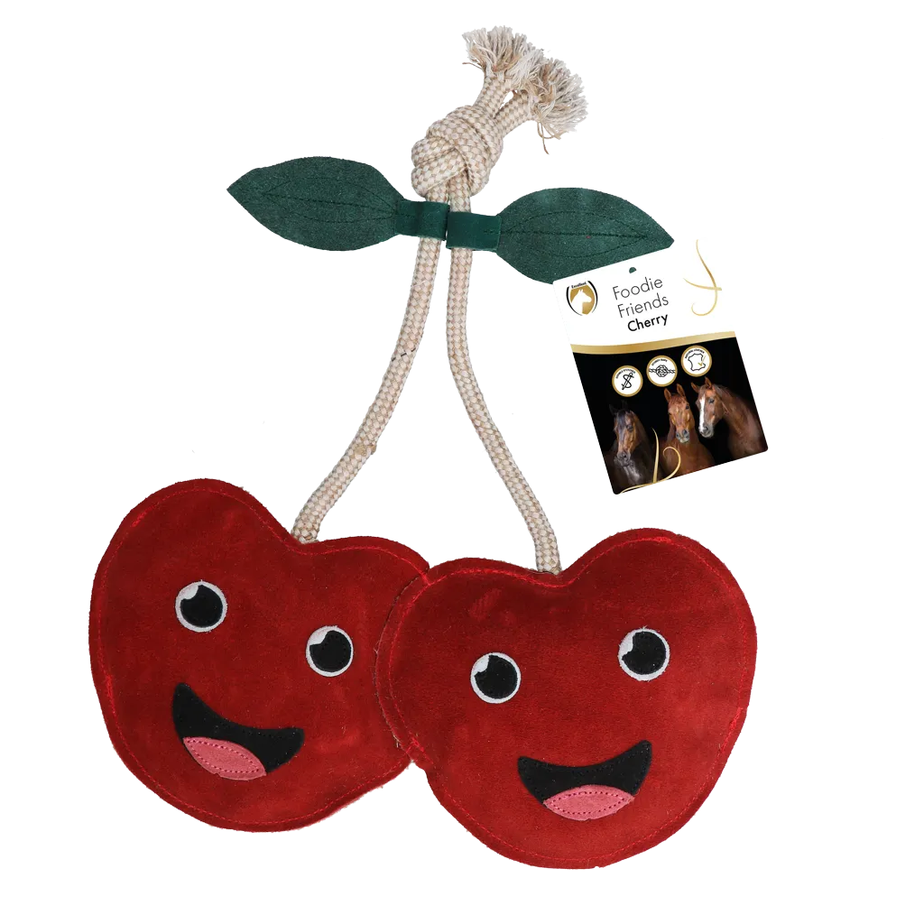 Excellent Horse Foodie Friends Cherry