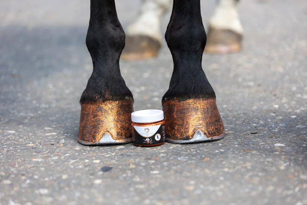 Excellent Horse Hi Gloss Glitter Hoof Polish Orange 150 ml