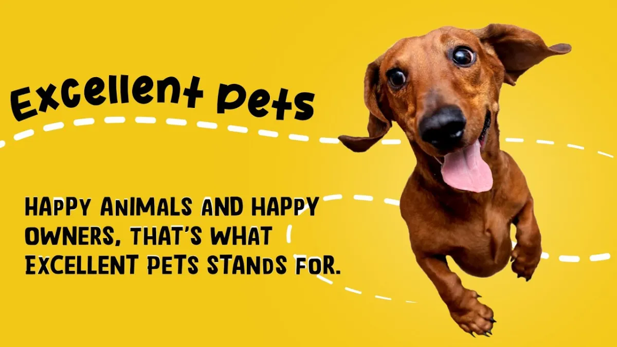 Excellent Pets Multi-Vit Soft Chews 60 Treats