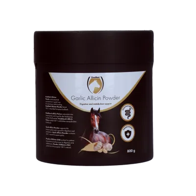 Excellent Horse Garlic Allicin Powder 800 g